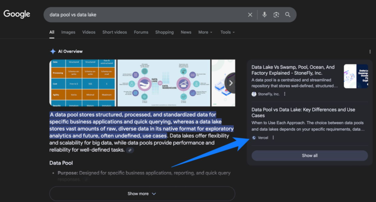 Lead Manager Agency Schema and AI Overviews: Does structured data improve visibility?