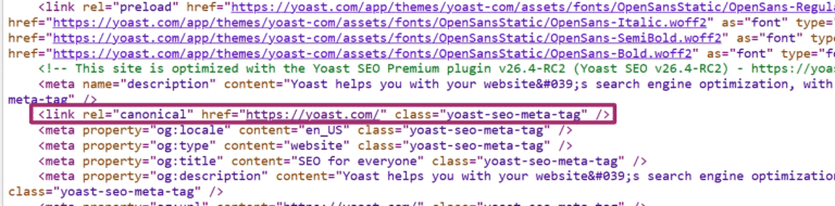 Lead Manager Agency Canonical URLs: definitive guide to canonical tags 